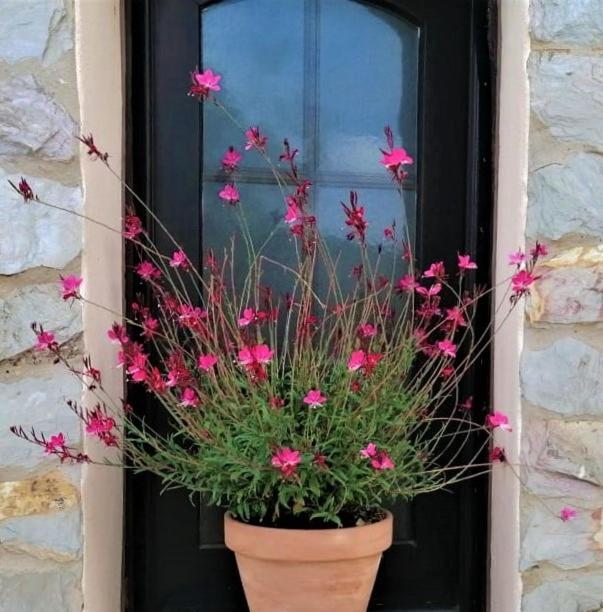 B&B Casa Escondida, adults only Alte Exterior foto